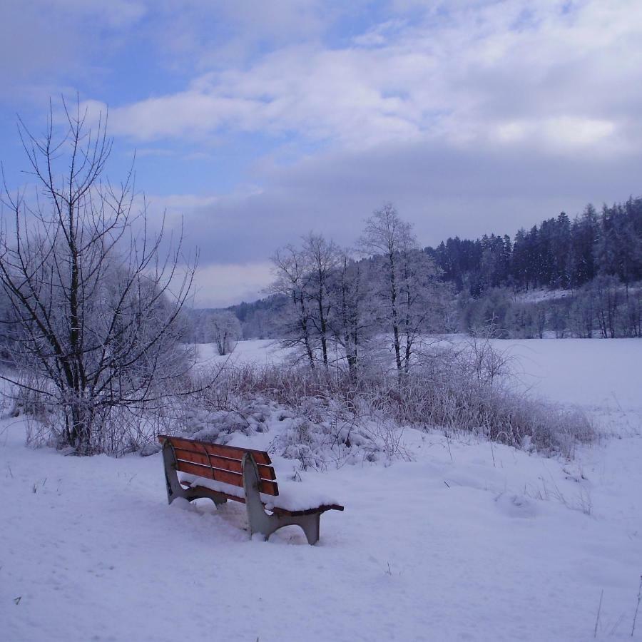 Feriendomizil-Sauerland Fewo 1 Medebach Ngoại thất bức ảnh